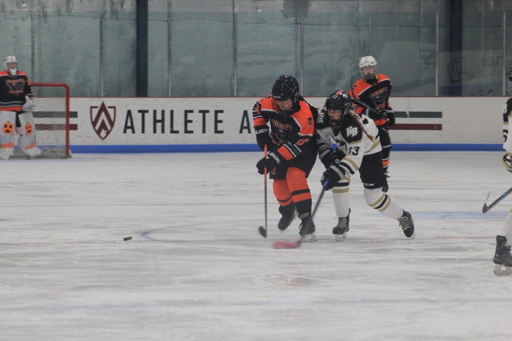 Puck battle at the HB blue line.
