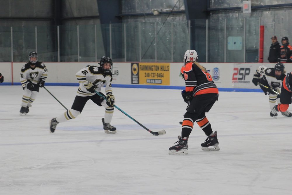 Bomber closes on the loose puck.