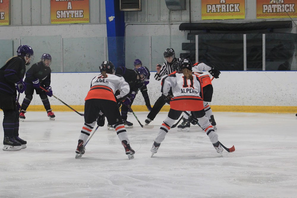 Midland Hornets