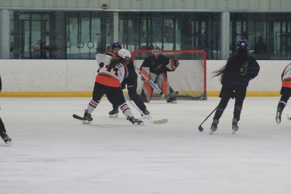 Midland Hornets