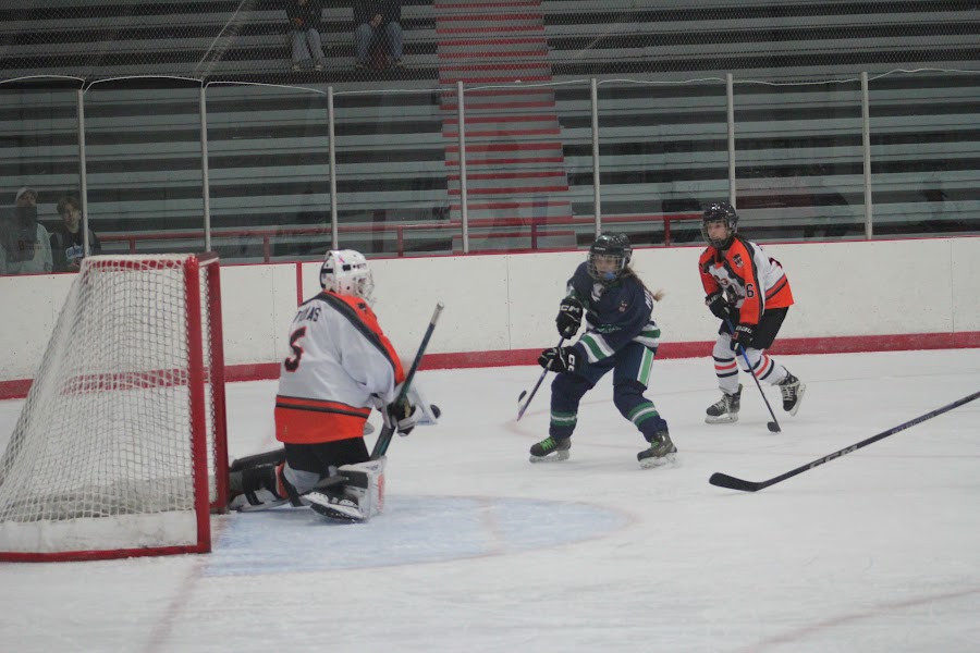 Kensington Valley Ravens game photo