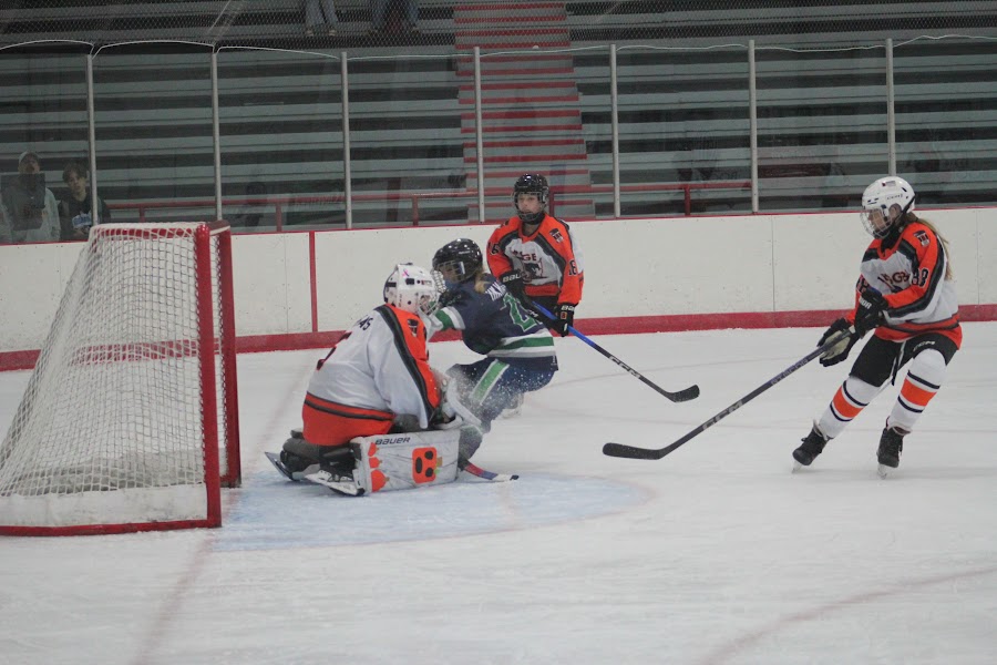Kensington Valley Ravens game photo