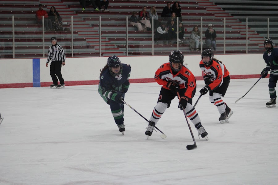 Kensington Valley Ravens game photo