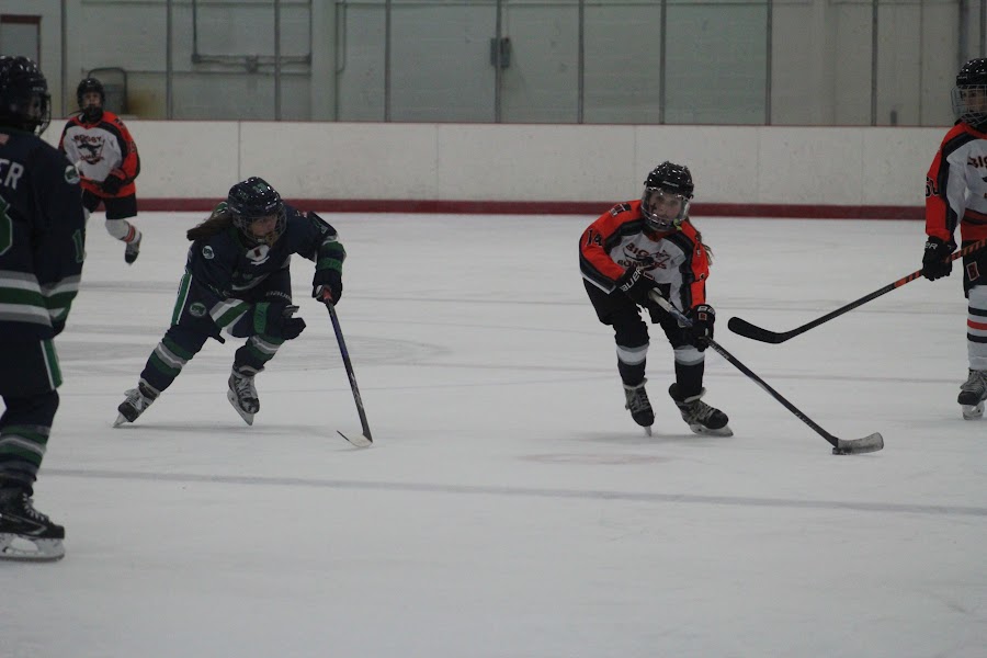 Kensington Valley Ravens game photo