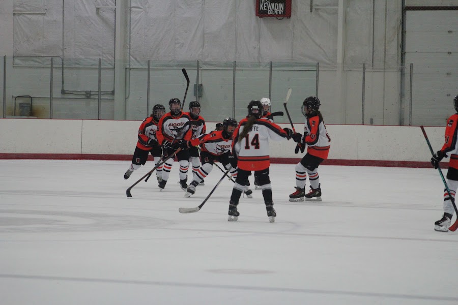 Kensington Valley Ravens game photo