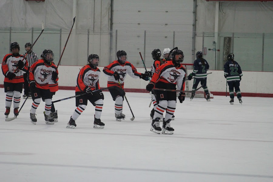 Kensington Valley Ravens game photo